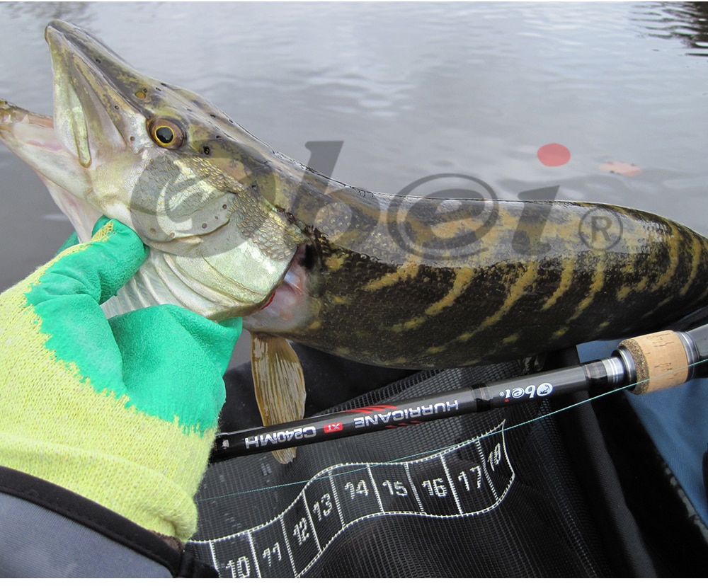 Obei HURRICANE Baitcasting Fishing Rod — Bass Fishing Tips US