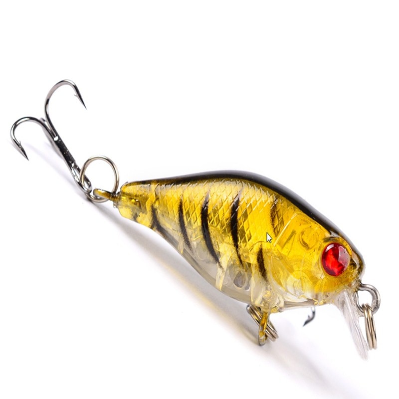 Square Bill Crankbait