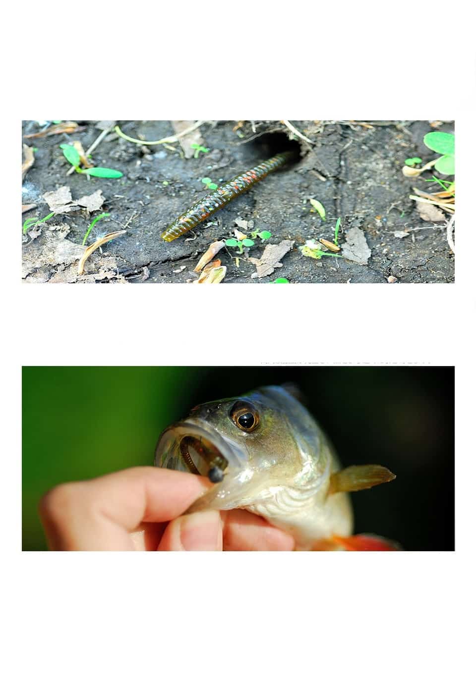 Soft Plastic Finesse Worm — Bass Fishing Tips US Bass Fishing Tips US