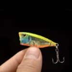 Science Behind Topwater Lures - Mini Popper