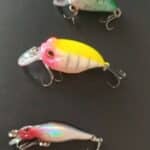 Techniques for Fishing Shallow Water for Bass - Laser Minnow Fishing Jerkbait