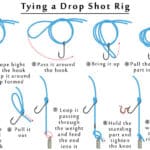 Tying a Dropshot Rig
